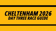 Image for Betfair's guide to day three at Cheltenham